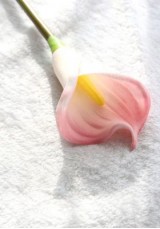 Artificial Calla Lily with Stem Artificial Calla Lily with Stem